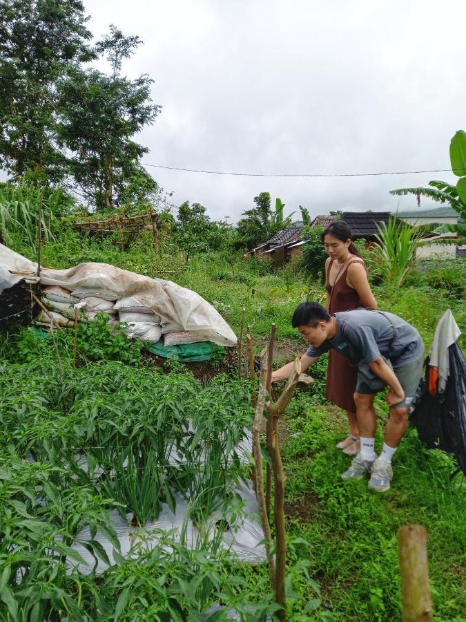 Family Rinjani Bungalow Sajang Eksteriør billede