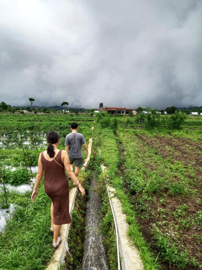 Family Rinjani Bungalow Sajang Eksteriør billede