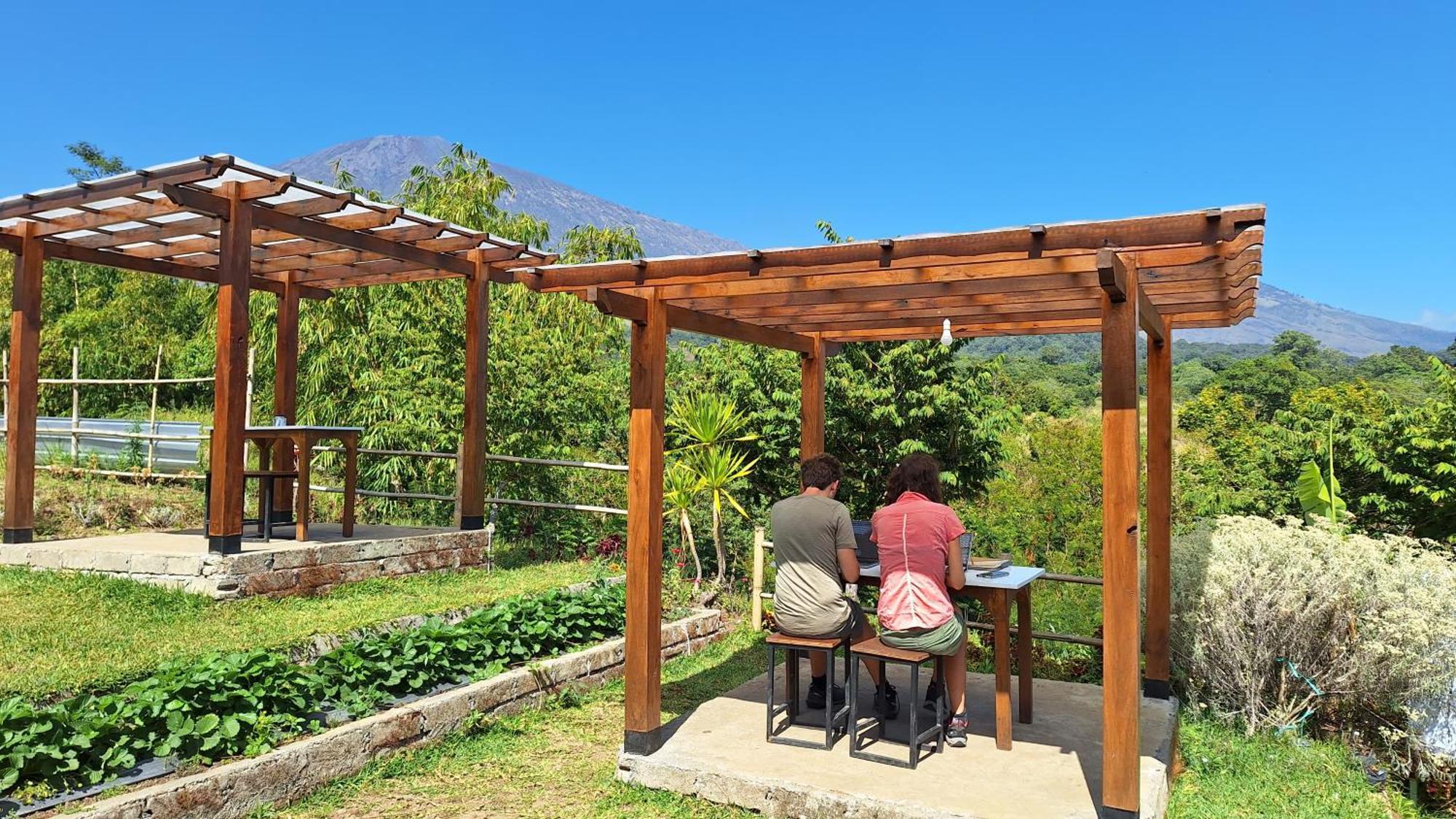 Family Rinjani Bungalow Sajang Eksteriør billede